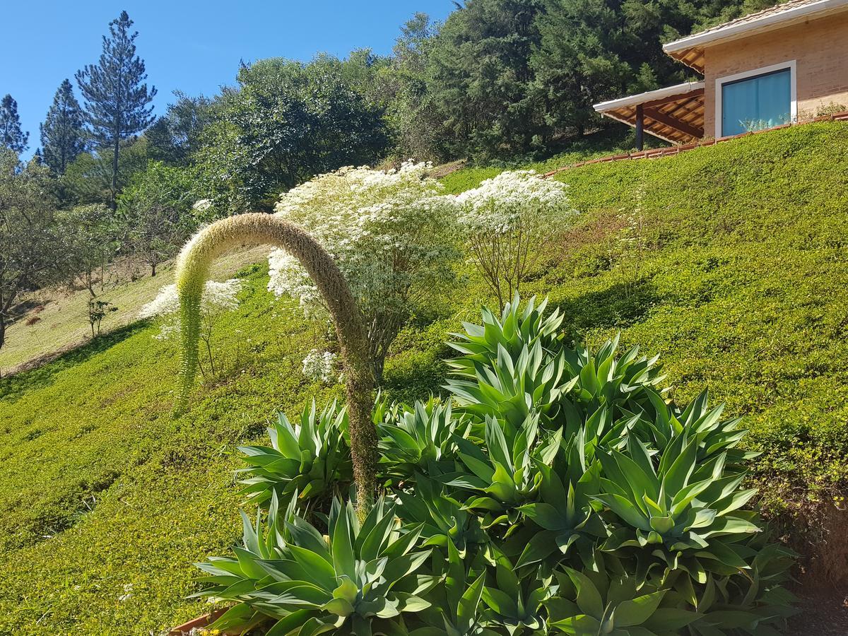 מונטה אלגרה דו סול Pousada Recanto Dos Beija Flores מראה חיצוני תמונה